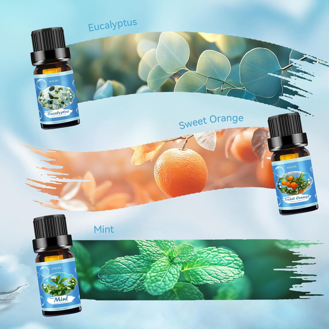 PACK OF 6 Christmas Essential Oil Set