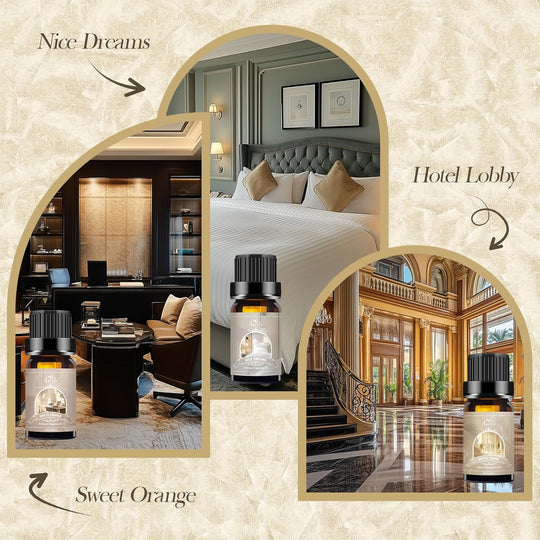 PACK OF 6 Christmas Essential Oil Set